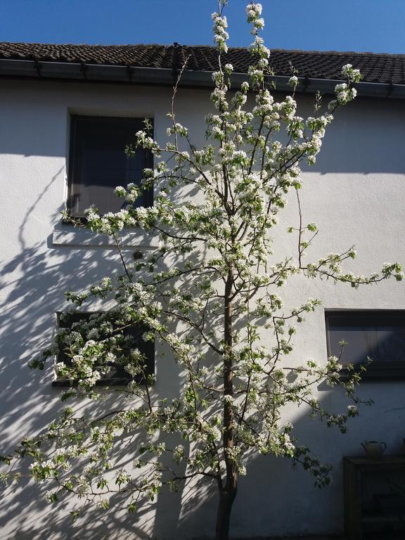 리엠스트 De Aventurijn B&B 외부 사진